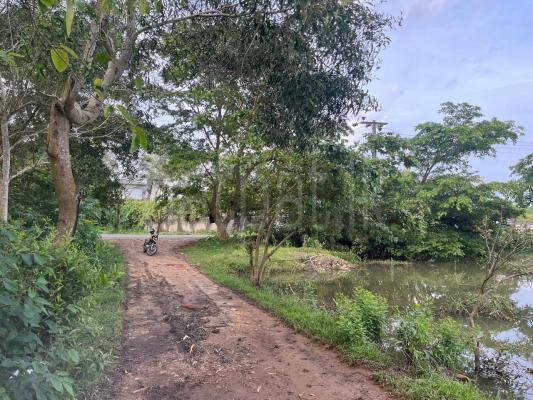 Agricultural Land for Sale in Dompe