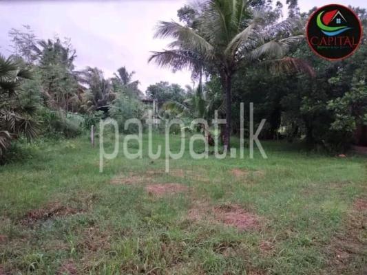 premium-listing-image