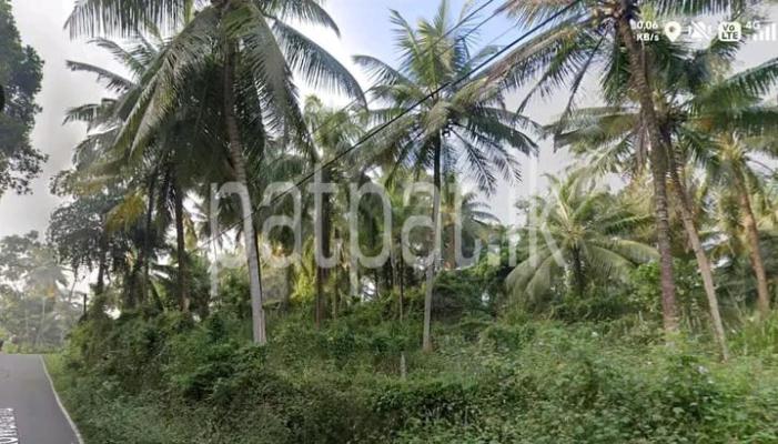 Commercial Land for Sale in Kurunegala