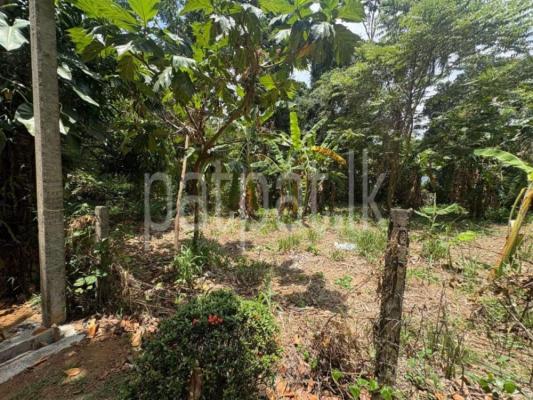 premium-listing-image