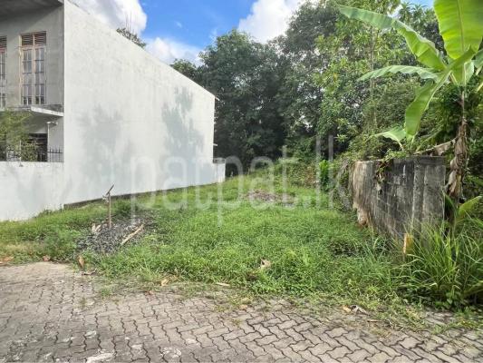 premium-listing-image