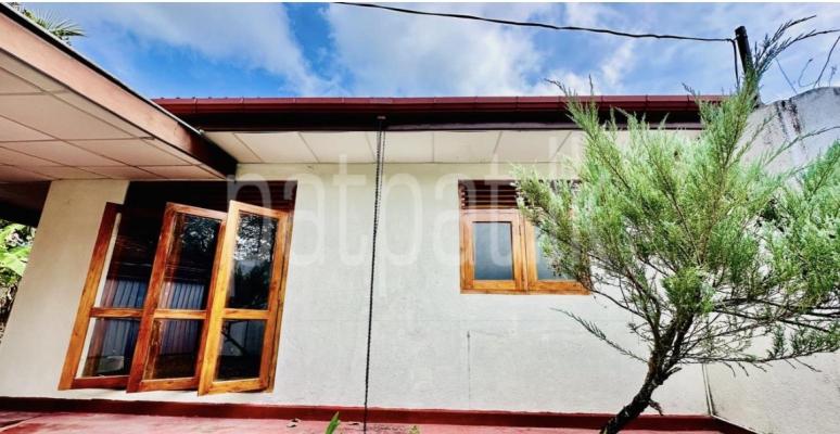 premium-listing-image