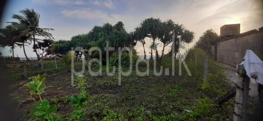 premium-listing-image