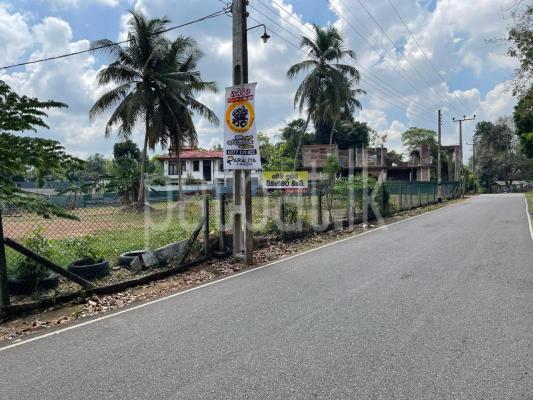 premium-listing-image