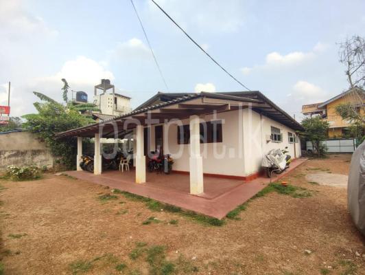 premium-listing-image