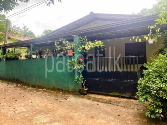 premium-listing-image