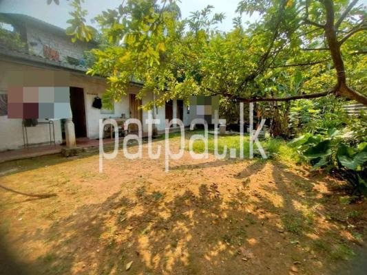 premium-listing-image