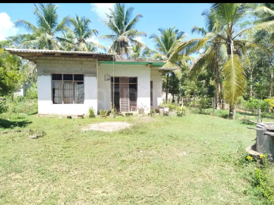 House for Sale in Dompe
