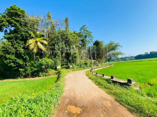 Residential Land for Sale in Hakmana