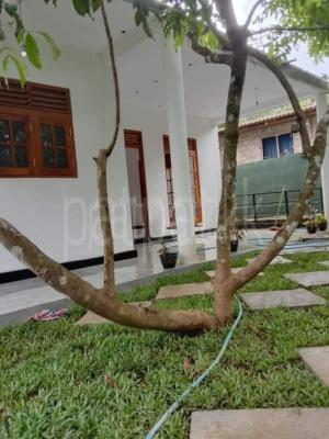 premium-listing-image