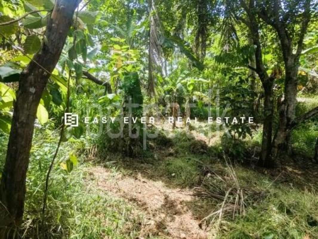 Commercial Land for Sale in Mirigama