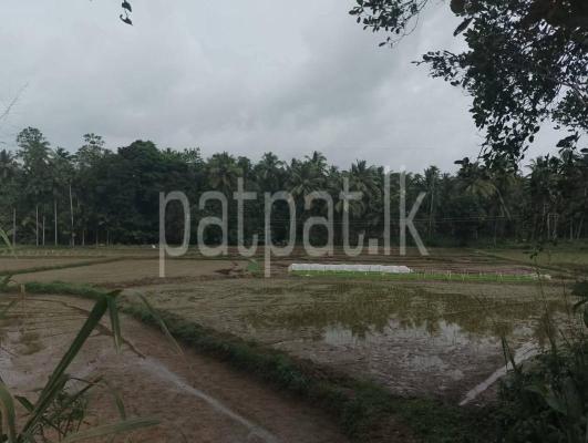 premium-listing-image