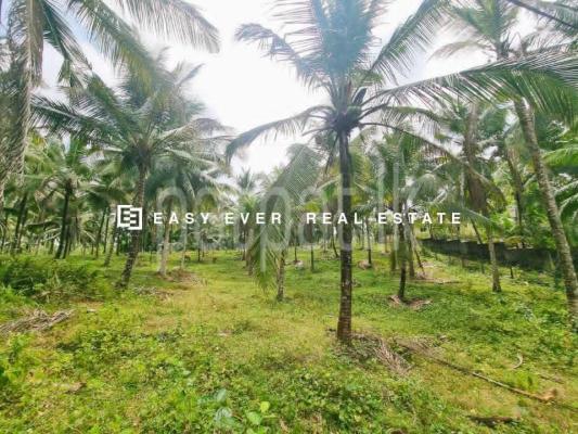 Residential Land for Sale in Kirindiwela