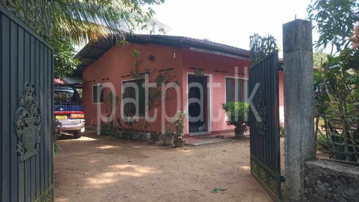 premium-listing-image