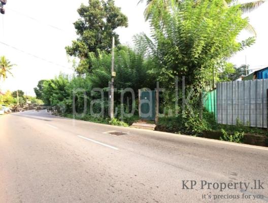 premium-listing-image