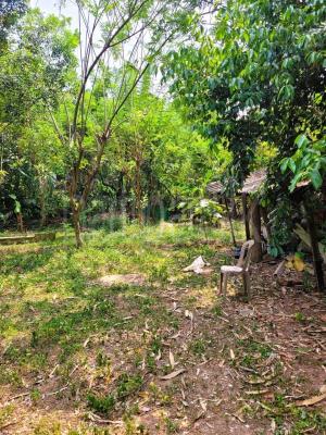 premium-listing-image