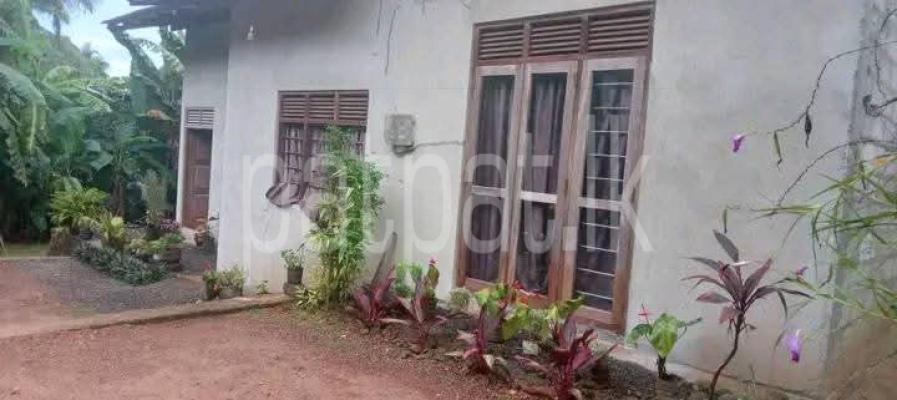 premium-listing-image