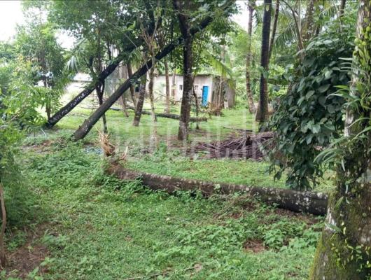 premium-listing-image