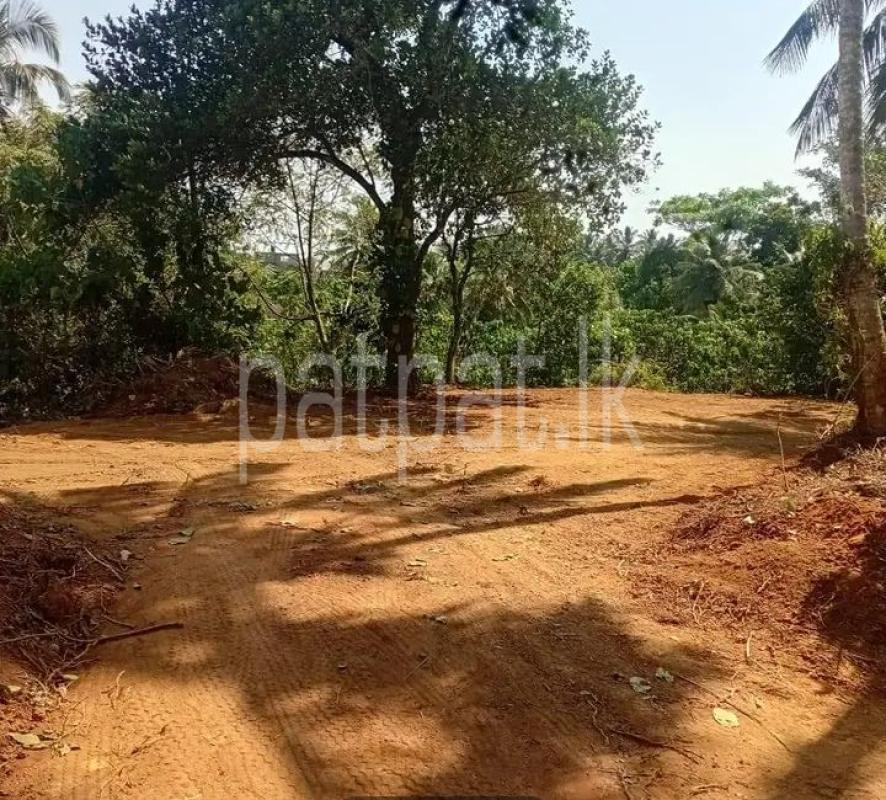 Residential Land for Sale in Horana