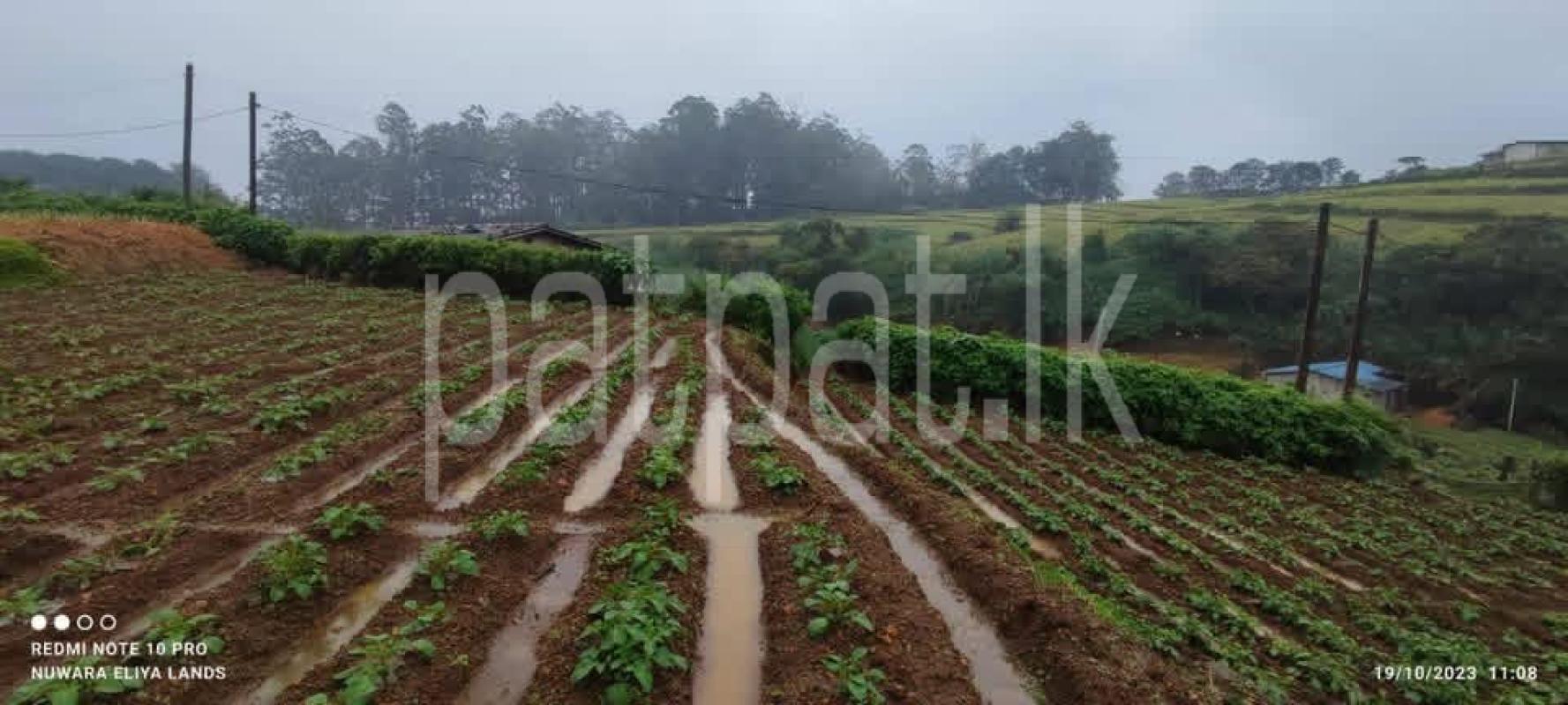 Residential Land for Sale in Nuwara Eliya
