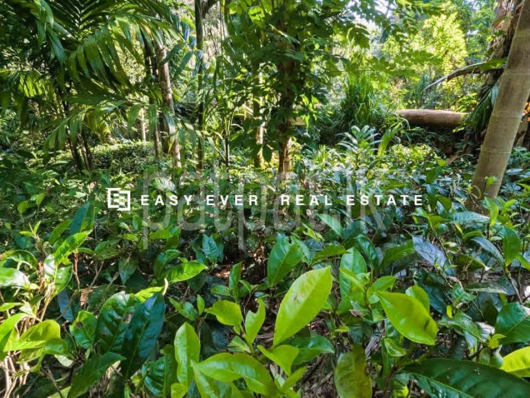 Residential Land for Sale in Algama