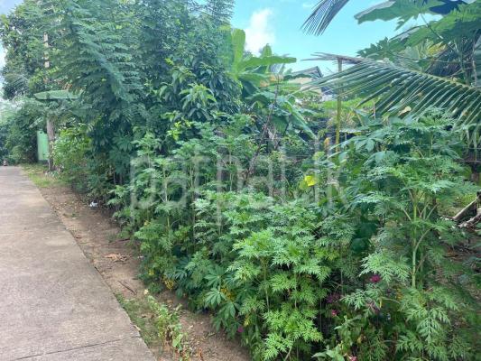 premium-listing-image