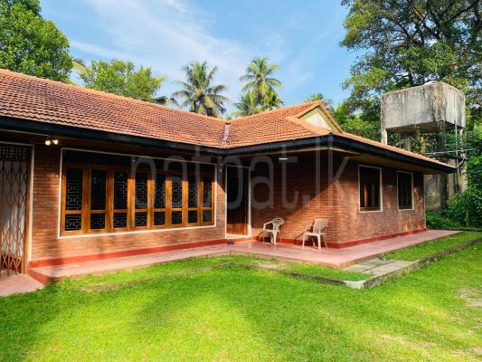 House for Rent in Gampaha