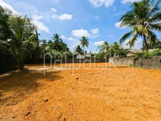 Commercial Land for Sale in Gampaha