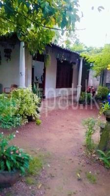 premium-listing-image