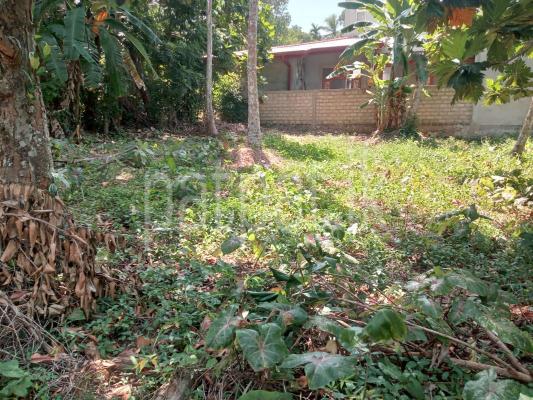 premium-listing-image