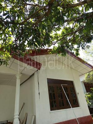 premium-listing-image