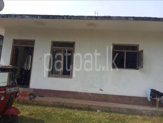 premium-listing-image