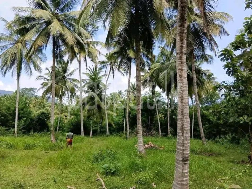 Agricultural Land for Sale in Kurunegala
