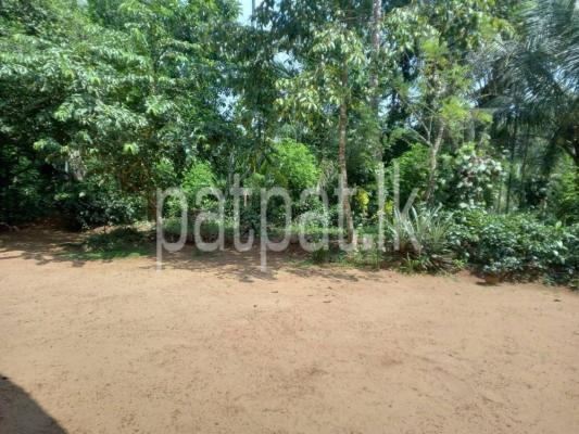 premium-listing-image