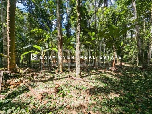 Residential Land for Sale in Weliveriya