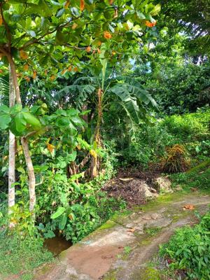 Commercial Land for Sale in Matugama