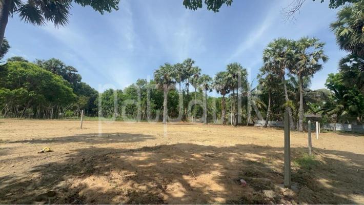 premium-listing-image