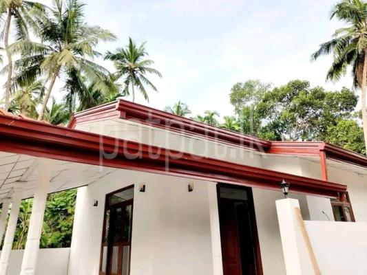 premium-listing-image