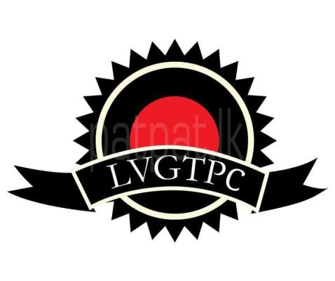 Marketing  Promotion Manager