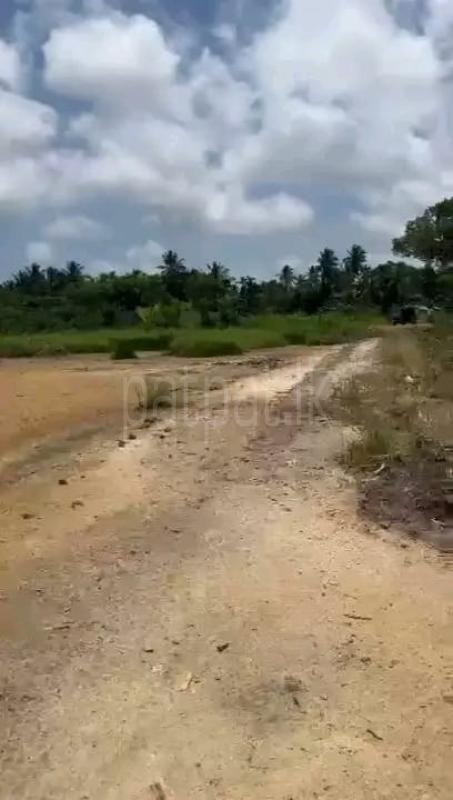 Commercial Land for Sale in Seeduwa