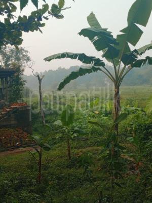 premium-listing-image