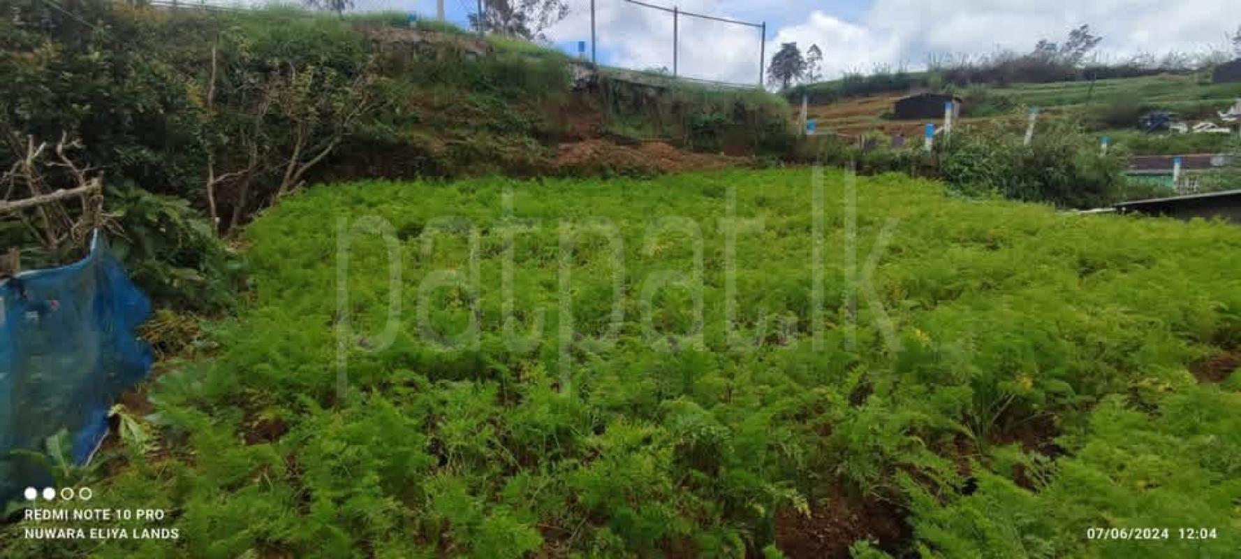 Residential Land for Sale in Nuwara Eliya