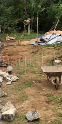 premium-listing-image