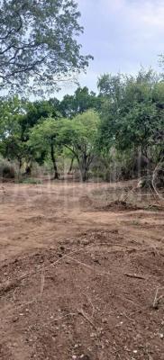 premium-listing-image