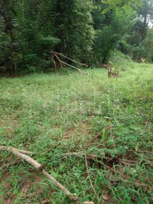 Residential Land for Sale in Digana