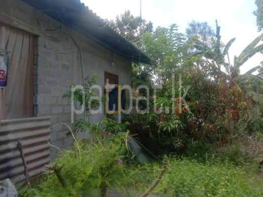 premium-listing-image