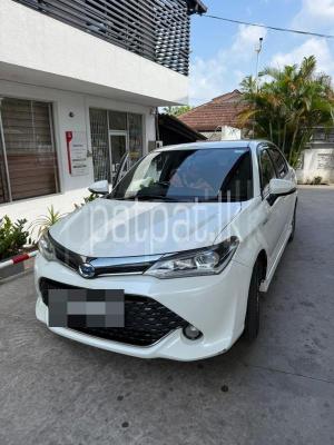 premium-listing-image