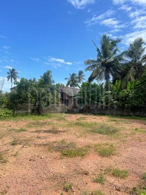 premium-listing-image