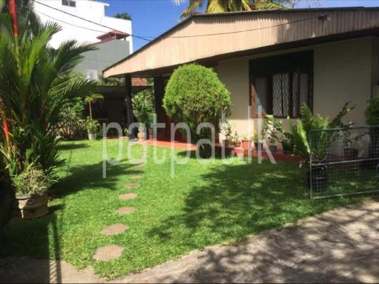 premium-listing-image