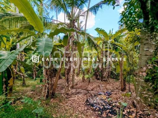 Residential Land for Sale in Nittambuwa